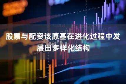 股票与配资该原基在进化过程中发展出多样化结构