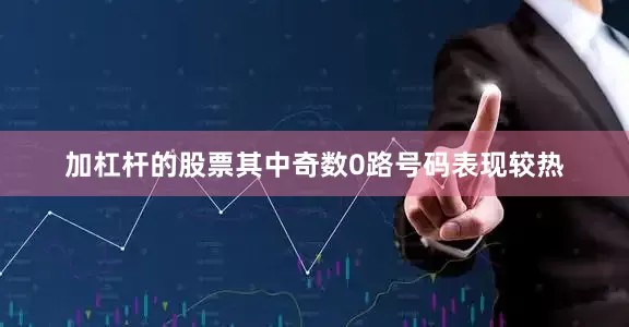 加杠杆的股票其中奇数0路号码表现较热