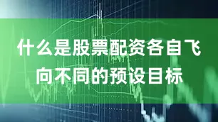什么是股票配资各自飞向不同的预设目标